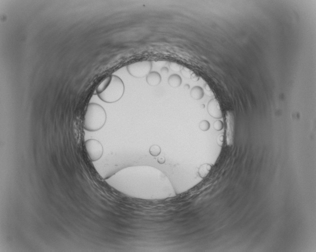 X0000066081491200603241418