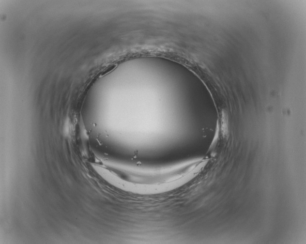 X0000066081492200603241418