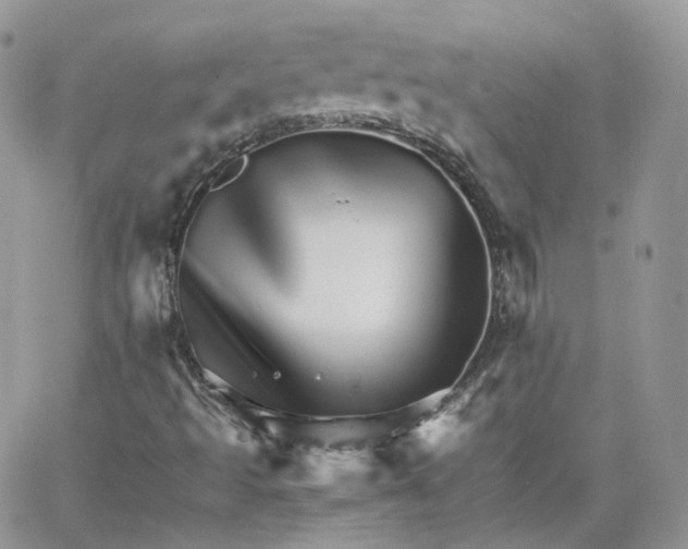 X0000066081493200603241418