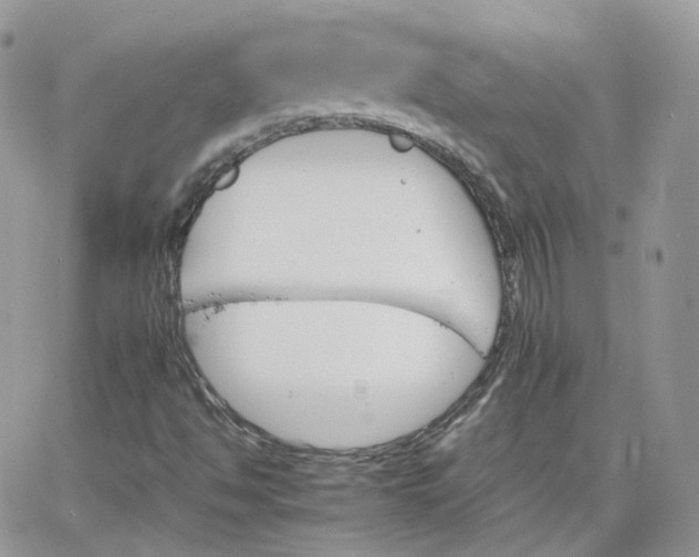 X0000066081494200603241418