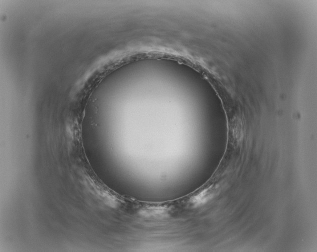 X0000066081495200603241418