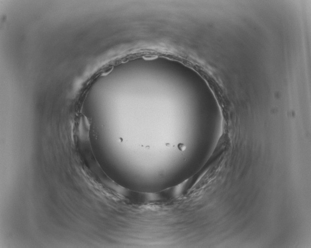 X0000066081496200603241418