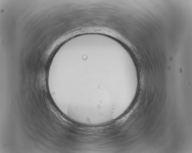 X0000066081498200603241418