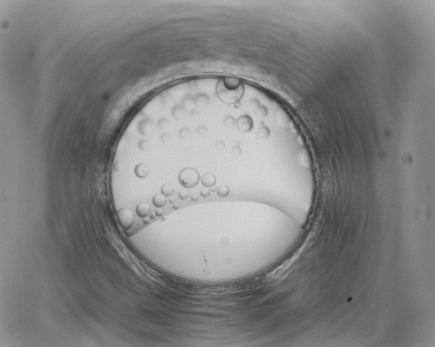 X0000066081499200603241418