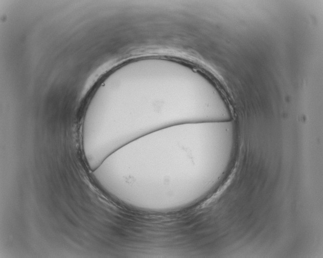 X0000066081501200603241418