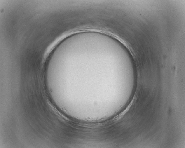 X0000066081502200603241419