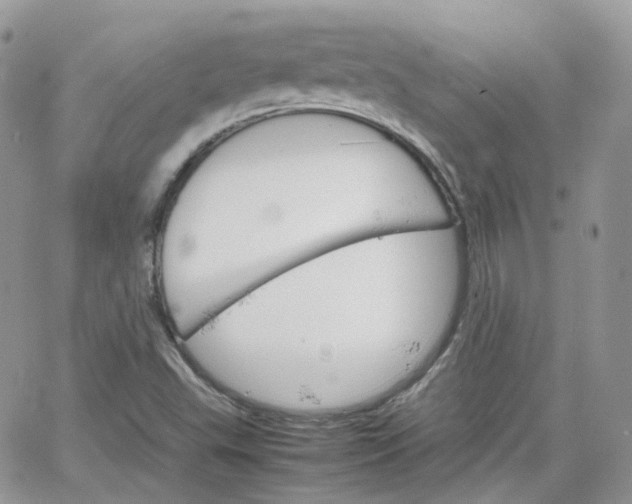 X0000066081503200603241419