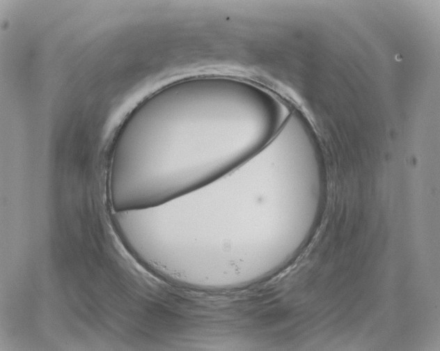 X0000066081504200603241419