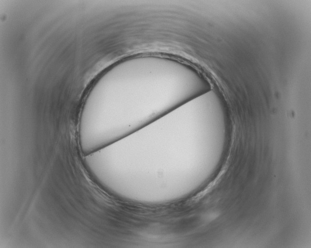 X0000066081505200603241419