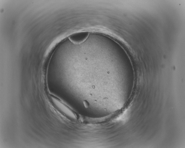 X0000066081506200603241419