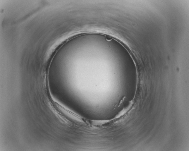 X0000066081507200603241419