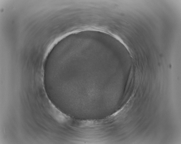 X0000066081508200603241419