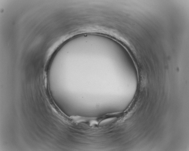 X0000066081509200603241419