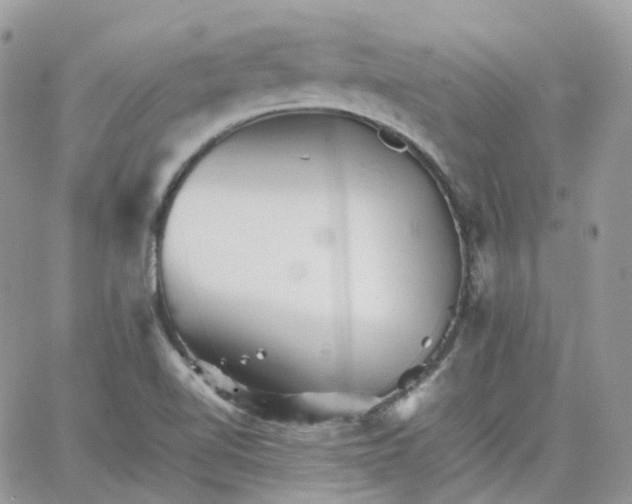 X0000066081510200603241419