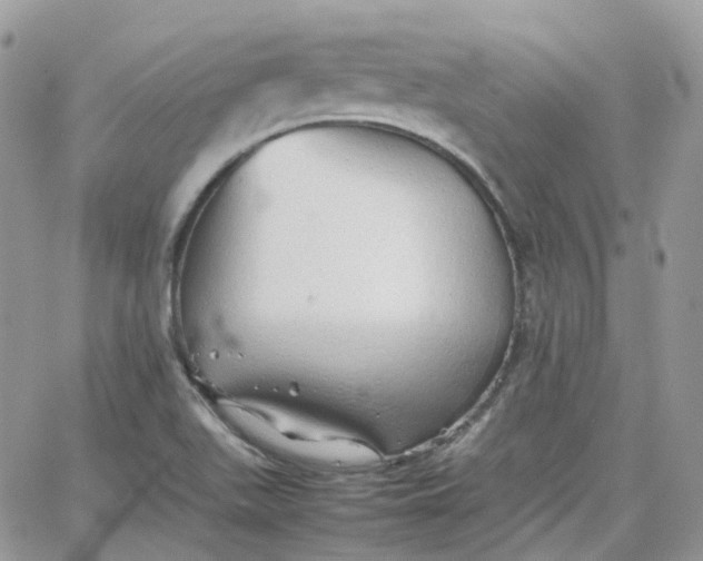 X0000066081511200603241419