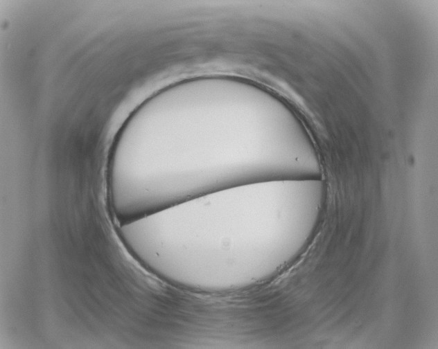 X0000066081512200603241419