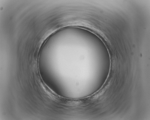 X0000066081513200603241419