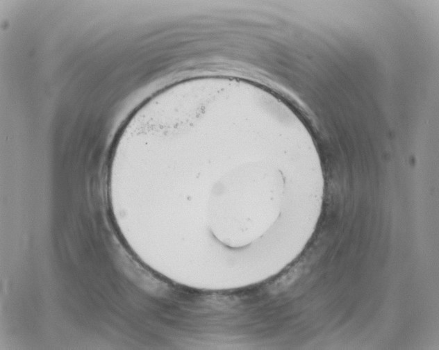 X0000066081514200603241419