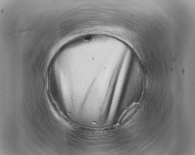 X0000066081515200603241419