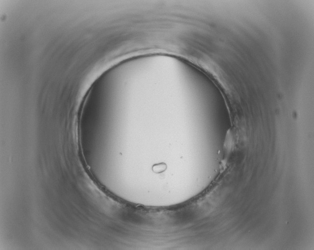 X0000066081516200603241419