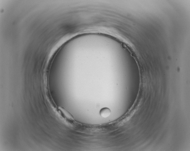 X0000066081517200603241419