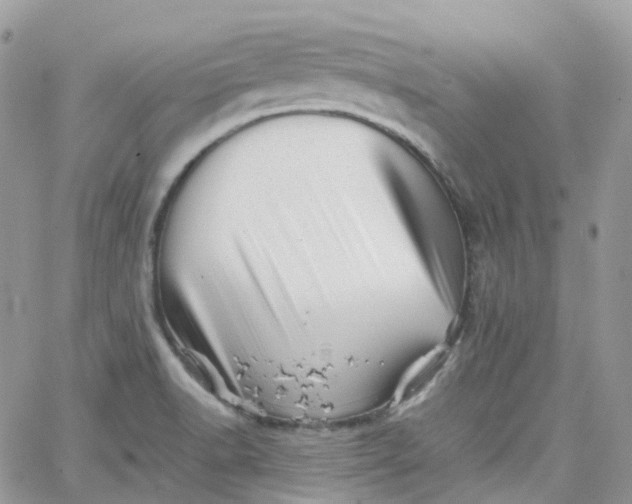 X0000066081518200603241419