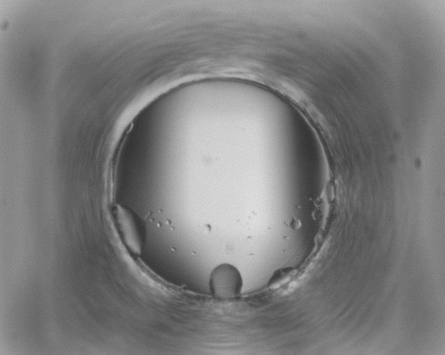 X0000066081520200603241419