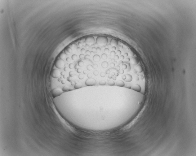 X0000066081521200603241419