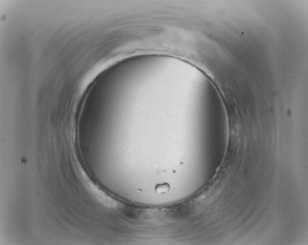 X0000066081523200603241419