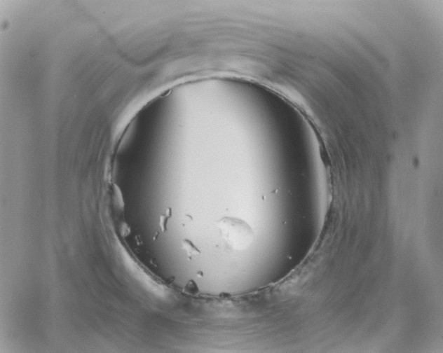 X0000066081524200603241419