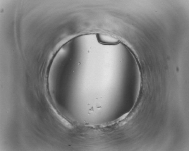 X0000066081525200603241419