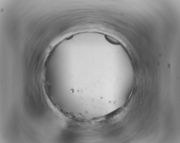 X0000066081526200603241419