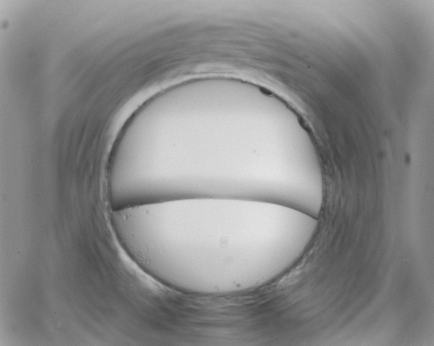 X0000066081527200603241419