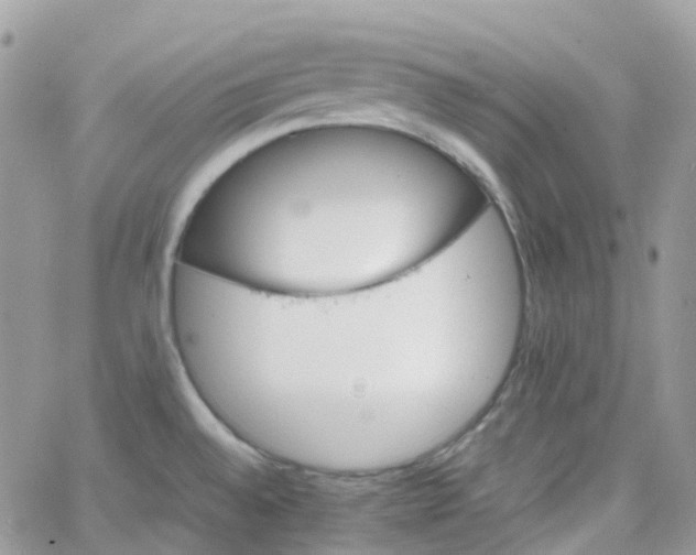 X0000066081528200603241419