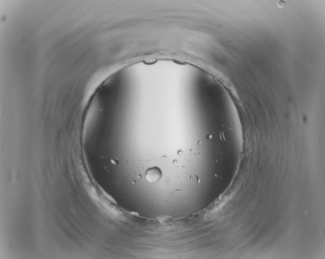 X0000066081530200603241419