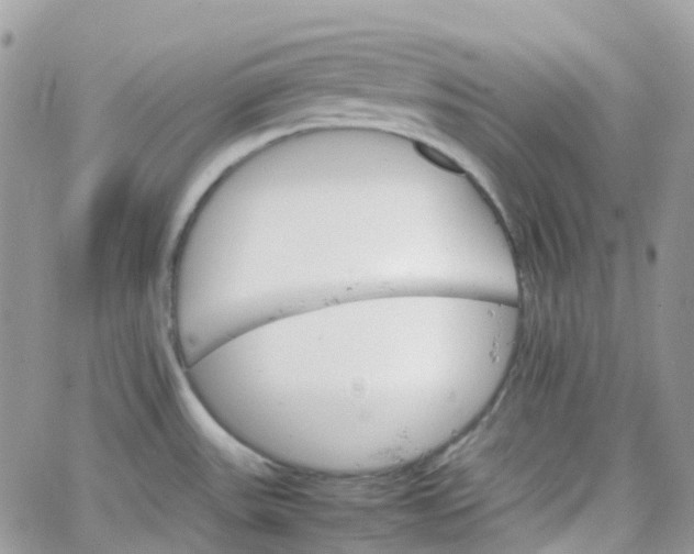 X0000066081531200603241419