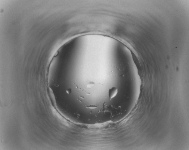 X0000066081532200603241419