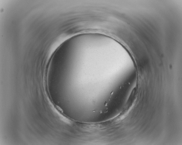 X0000066081533200603241419