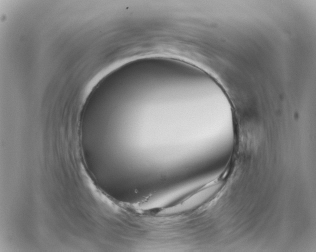 X0000066081534200603241419