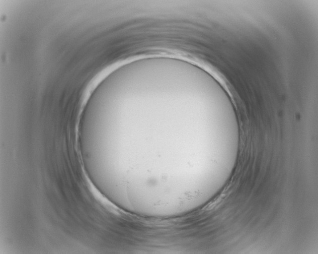 X0000066081535200603241419