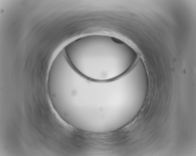 X0000066081536200603241419