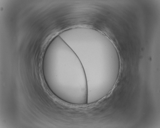 X0000066080001200603311947