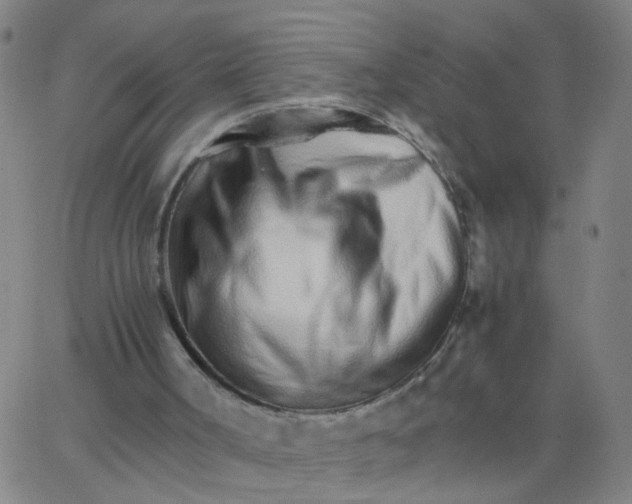 X0000066080002200603311947