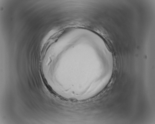 X0000066080003200603311947