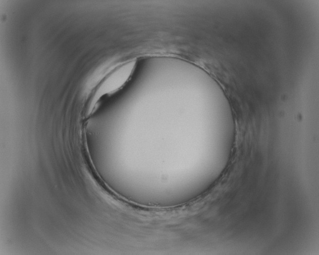 X0000066080005200603311947