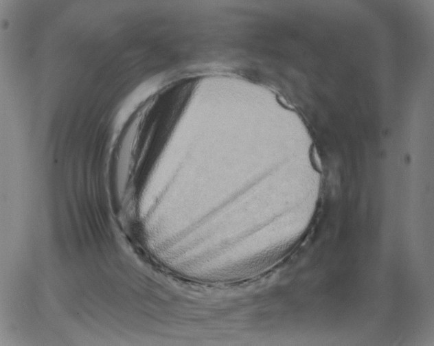 X0000066080006200603311947