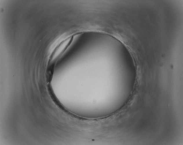 X0000066080007200603311947