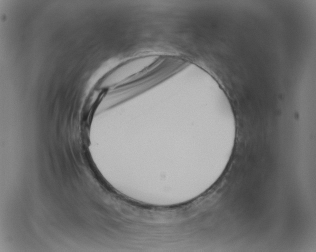 X0000066080008200603311947