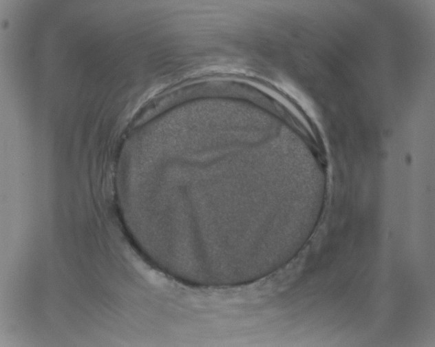 X0000066080009200603311947