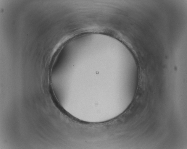 X0000066080011200603311947